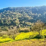 Lisbon Countryside - Serenity Near The Appartamento Calhandriz