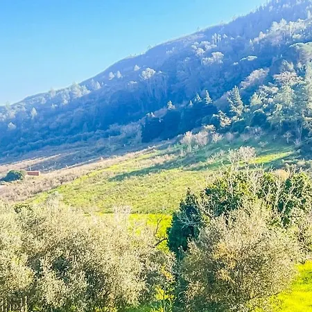 Lisbon Countryside - Serenity Near The Calhandriz