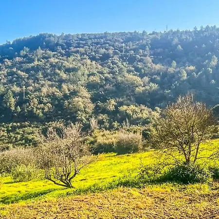 Lisbon Countryside - Serenity Near The דירה Calhandriz