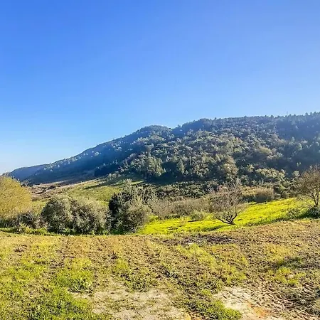 Lisbon Countryside - Serenity Near The