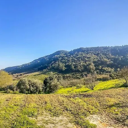 Lisbon Countryside - Serenity Near The