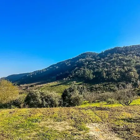 Lisbon Countryside - Serenity Near The Appartement Calhandriz