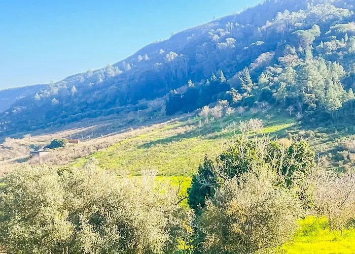 Lisbon Countryside - Serenity Near The Calhandriz