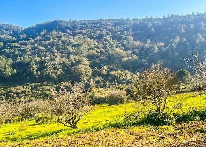 Lisbon Countryside - Serenity Near The Appartement Calhandriz