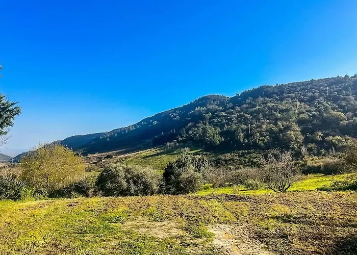 Lisbon Countryside - Serenity Near The Appartement Calhandriz